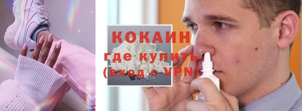 стафф Арсеньев
