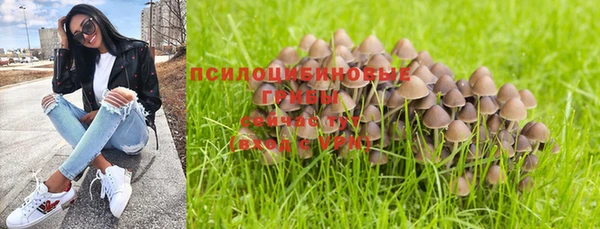 стафф Арсеньев