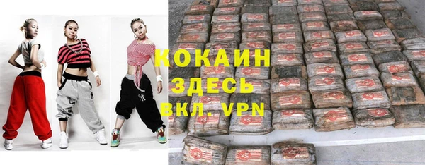 стафф Арсеньев