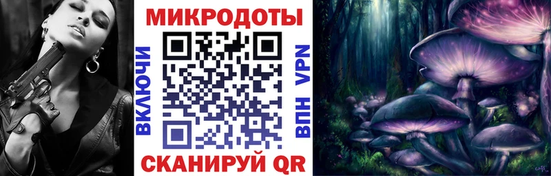 Галлюциногенные грибы Psilocybine cubensis цены Пустошка